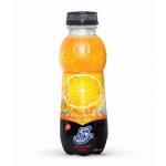 FRUIT DRINK 500 ML